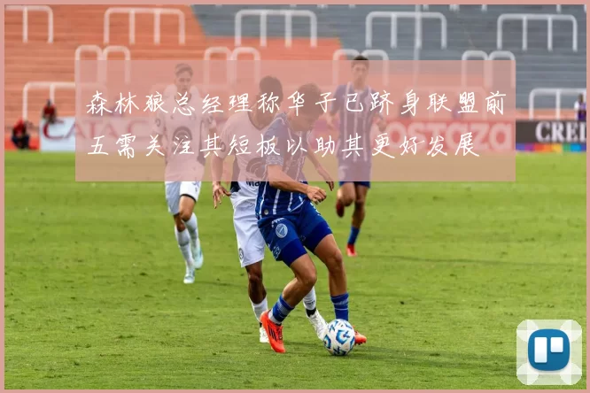 森林狼总经理称华子已跻身联盟前五需关注其短板以助其更好发展