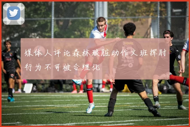 媒体人评论森林狼脏动作文班挥肘行为不可被合理化
